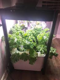 Miracle Gro Twelve Hydroponic Indoor Growing System