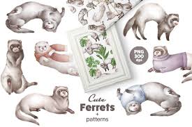 Cute ferrets plus patterns (1080021) | Illustrations | Design Bundles