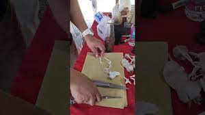 Dapat dikendalikan dengan sanitasi lahan, membuang dan membersihkan dari tanaman. Cara Membuat Benih Cendawan Youtube