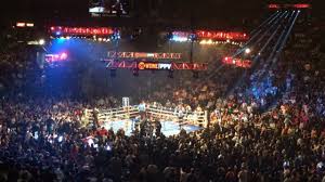 Mgm grand garden arena, las vegas, nevada. Fast Facts Mgm Grand Garden Arena