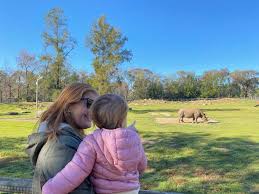 Welcome to dubbo and thanks for visiting our city. Dubbo Zoo The Ultimate Family Guide Family Travel