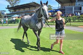 170 Jangles Stock Photos, High-Res Pictures, and Images