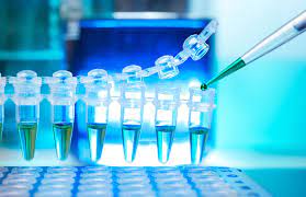 Makalah meskipun dalam bentuk sederhana namun harus lengkap mengenai penjelasannya. Inspirasi Judul Skripsi Biologi Generasi Biologi