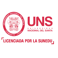 Kunden, denen entrüstung, neon, untenrum, staat und früher™ gefielen, gingen hier steil. Https Www Uns Edu Pe A Universidad Nacional Del Santa Facebook