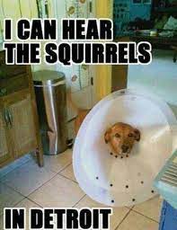 Pin On Funny