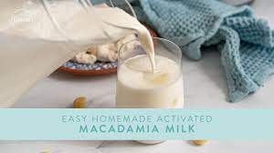 Easy Homemade ACTIVATED MACADAMIA MILK - YouTube