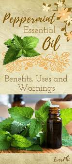 Peppermint Oil Benefits Numerous Are The Benefits That Peppermint Essentia Peppermint Essential Oil Benefits Peppermint Oil Uses Peppermint Essential Oil Uses