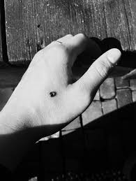 dermal my hand piercing nose ring piercings