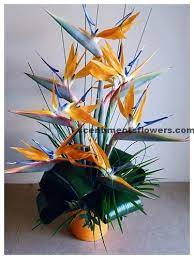 Birthday Flowers Birds Of Paradise Arrangements Church Flower Arrangements Flower Arrangements Paradise Flowers