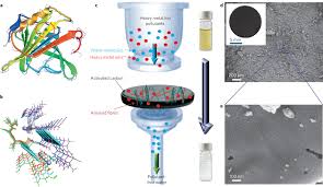 Check spelling or type a new query. Amyloid Carbon Hybrid Membranes For Universal Water Purification Nature Nanotechnology
