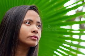 283 Photos de Feuille De Palmier Livistona Rotundifolia