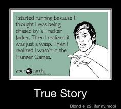 Hunger Games Memes Clean Google Search Hunger Games Humor Hunger Games Memes Hunger Games