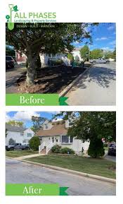4 seasons tree service, the other guys, redwood stump removal, neighborhood lawn, pyles construction. Sod Installation In Monmouth County All Phases Landscaping Property Services Llc