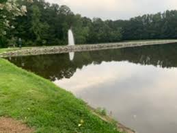 Jan 28, 2020 · rv parks in florida will start around $20 per night for many of the state parks. Twin Lakes Rv Park Campground Reviews Cumming Ga Tripadvisor