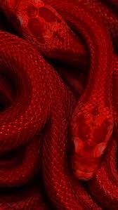 Aesthetic Red Smoke Wallpaper We hope you enjoy our growing collection of hd images to use as a background mar 29 2020 explore nattiegrace13s board aesthetic on pinterest. aesthetic red smoke wallpaper