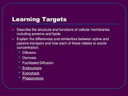 Bellringer Review Your Organelle Note Chart Will Be Taking