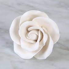 All your paper needs covered 24/7. Sugarflowers Caljavaonline