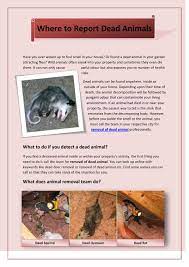 Maybe you would like to learn more about one of these? Where To Report Dead Animals By Deaddeerremoval Issuu