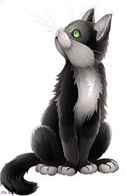 Black Cat Pictures Clip Art Cute Cat Pictures To Color Cat Face Pictures To Color Black And White Cat Pictur Multiplikacionnye Koshki Koshachi Lapy Chernaya Koshka