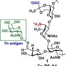 Daniel T. Dransfield's research works