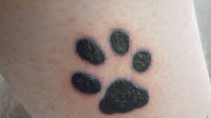 Blowout Or Bruising Tattoo Forum Tattoo Blowout Tattoo Forum Tattoos