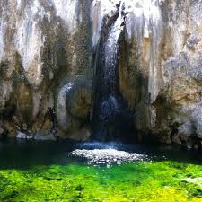 En termas de río hondo, a 559 kilómetros al norte de la ciudad de córdoba, soplan vientos de cambio. Guadalajara Bosque Primavera Beautiful Places To Visit Mexico Travel Places To Travel