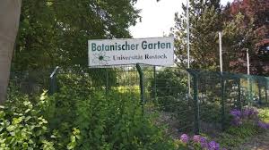 Botanischer Garten Rostock Aktuelle 2020 Lohnt Es Sich Mit Fotos