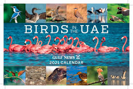 Free shipping for many products! Brilliant Birds In The Uae Revealed In All Their Glory Uae Gulf News