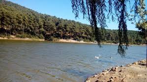 Check spelling or type a new query. Aydos Ormani Mesire Alani Nerede Giris Ucreti 2021 Gezelim Me