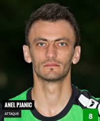 Anel Pjanic