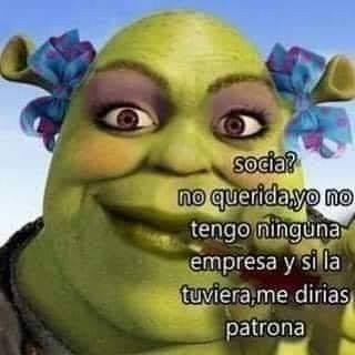 images?q=tbn:ANd9GcSHgU8OUek5x1_XhjDlZuL