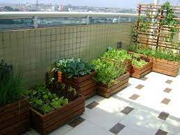Want to get gardening while in lockdown, but only have a balcony? How To Grow A Balcony Vegetable Garden The Garden