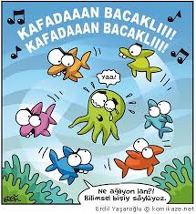 Evrim Ve Siniflandirma Komiklik Biyoloji Ders Notlari Biyoloji Evrim Biyoloji Dersi