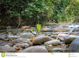Venezuela ist ein südamerikanischer staat an der karibikküste. Schoner Fluss In Venezuela Stockbild Bild Von Wasserfall 119534715