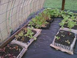 7 10 2013 The Shade House Apriori Farm Edible Garden Grow Bags Gardening Veggie Garden
