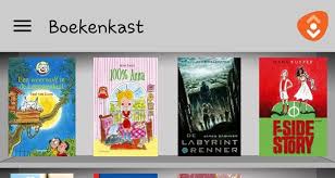 Pin Op Bibliotheek Boeken Zoeken
