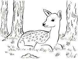 We have collected 37+ respect coloring page images of various designs for you to color. Fawn Coloring Page Art Starts