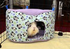 A c&c cage is extremely popular for multiple reasons, but mostly because it's modular and customizable. Guinea Pig Accessories