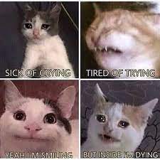 Pin On Funnies