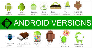 Android 11 got a wider release than past versions, with oneplus, xiaomi, oppo, and realme joining the google pixel in getting first dibs. Android Versions A Review Of The History Of The Operating System Bullfrag