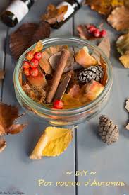 Diy Un Pot Pourri D Automne Facile Et Naturel Pot Pourri Pot Pourris Maison Et Decoration Automne