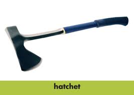 Grade 6 Unit 3 Week 1 Hatchet Vocabulary Wods Flashcards Quizlet