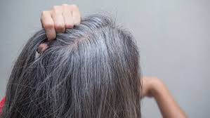 The texturizer is applied to curly texturizers permanently change the structure of hair. The Steps In Pre Softening Gray Hair Before Covering It During A Color Service