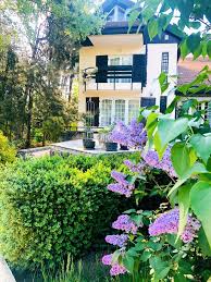 Maybe you would like to learn more about one of these? Cortina Garden Photos Facebook