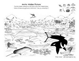 Arctic Hidden Picture Exploring Nature Educational Resource Arctic Habitat Arctic Animals Artic Animals