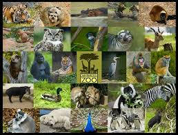 San Francisco Zoo San Francisco Zoo San Francisco Zoo San San Francisco