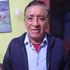 Amancay amarillos 🥺