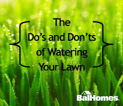 When watering an established lawn, it's typically recommended to water until the top 6 to 8 inches of soil (where most turfgrass roots grow) is wet. Watering Your Lawn The Do S And Don Ts