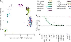 Watch a single cell become a complete organism in six pulsing minutes of timelapse. Single Cell Rna Seq Reveals Dynamic Random Monoallelic Gene Expression In Mammalian Cells Science