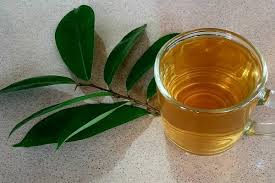 Cara minum air daun durian belnda boleh brpa kli dulang. Jangan Asal Konsumsi Daun Sirsak Inilah 11 Manfaat Dan Efek Sampingnya